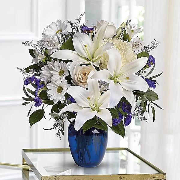 Beautiful in Blue — Black Eyed Susan's Flowers & Plants